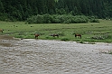 Karpaty+Krym 06.2007 095